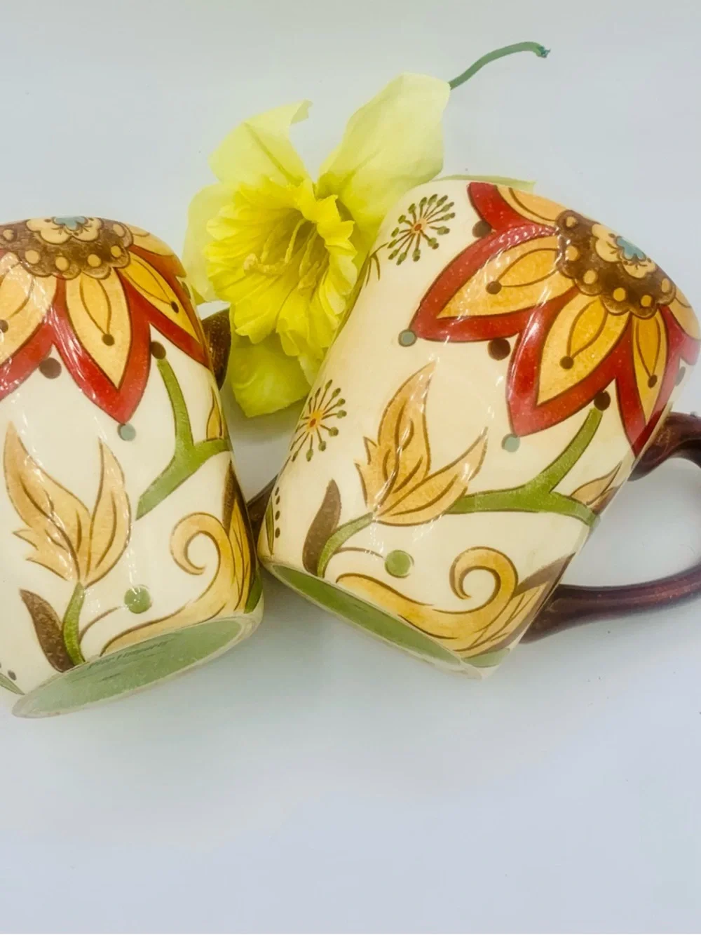 Set/2 Pier 1 Imports Carynthum Hand Painted Sturdy Earthenware Coffee Mugs 14oz